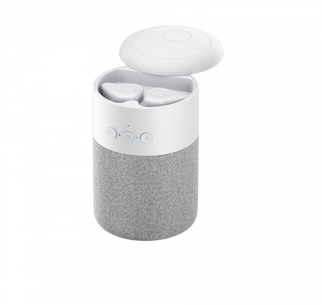 GoodzVill™ Bluetooth Speaker with Earbuds