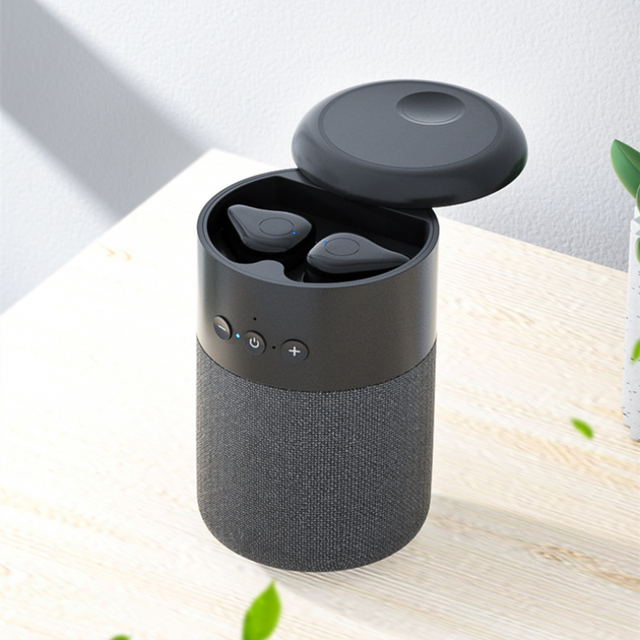GoodzVill™ Bluetooth Speaker with Earbuds